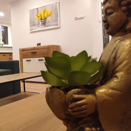 Alicante - 48m² ✓