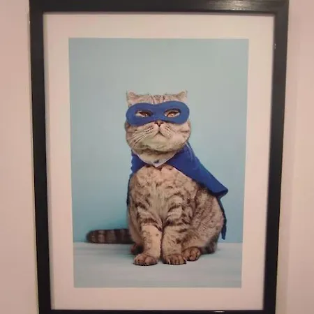 Alicante - 48m² ✓ Apartment *