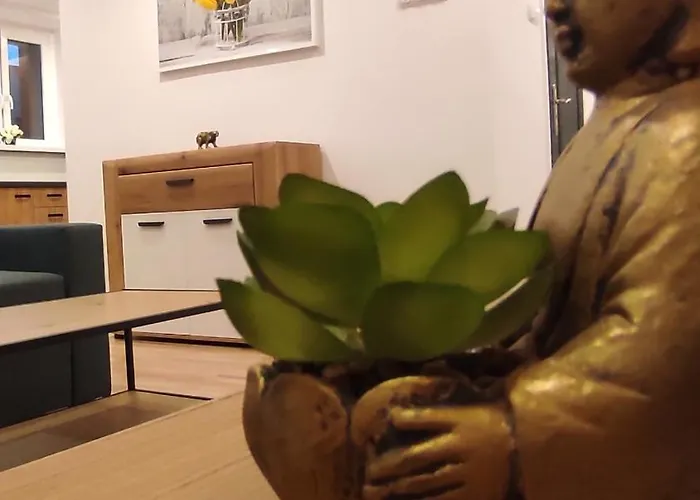 Alicante - 48m² ✓