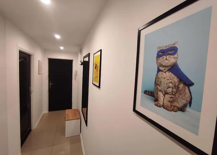 Alicante - 48m² ✓ *