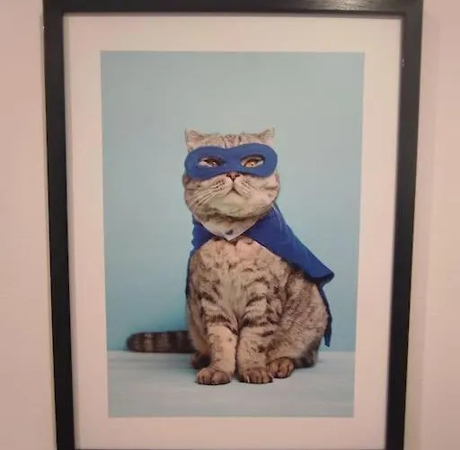 Alicante - 48m² ✓ شقة *