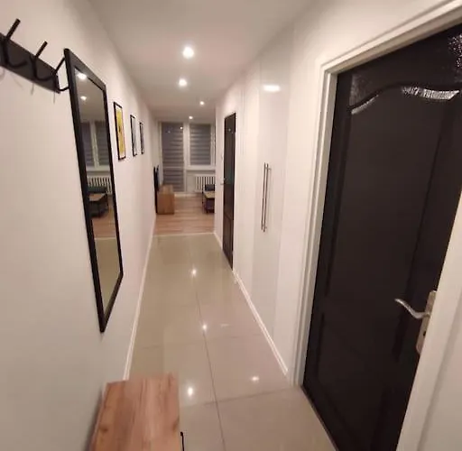 Alicante - 48m² ✓ شقة